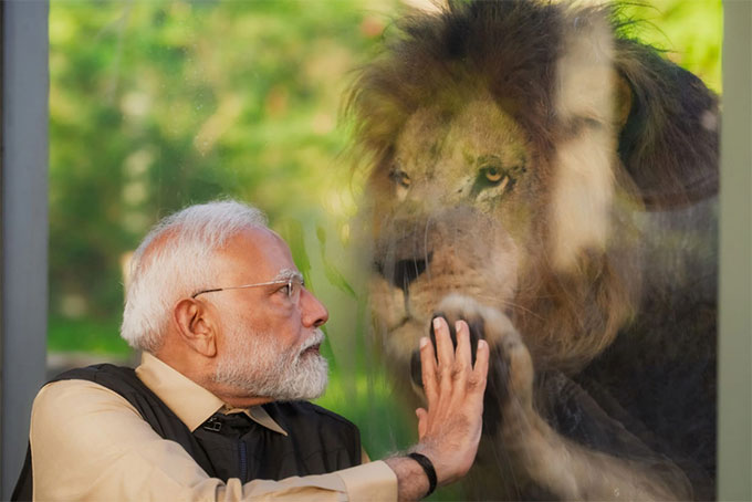 विश्व वन्यजीव दिवस, जामनगर में स्थित पशु संरक्षण केंद्र, वनतारा, अंबानी की पहल पर वनतारा, प्रधानमंत्री नरेंद्र मोदी ने वनतारा का उद्घाटन किया, वनतारा में जानवरों के लिए विशेष रूप से तैयार मल्टी स्पेशलिटी हॉस्पिटल